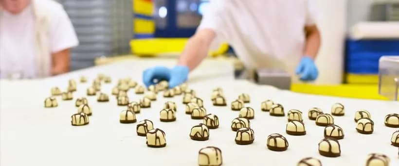 Alimer Chocolate kalite politikası